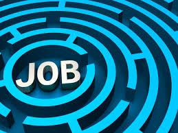 job11